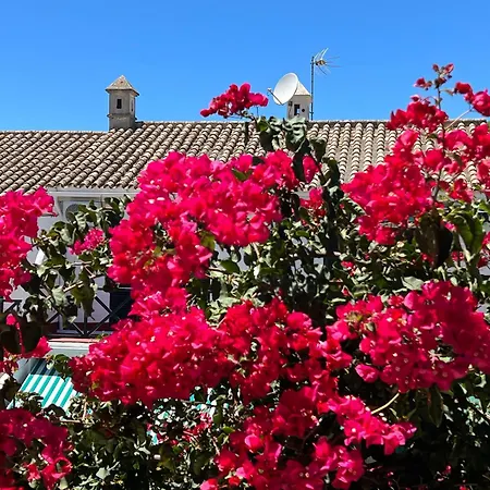 La Buganvilla